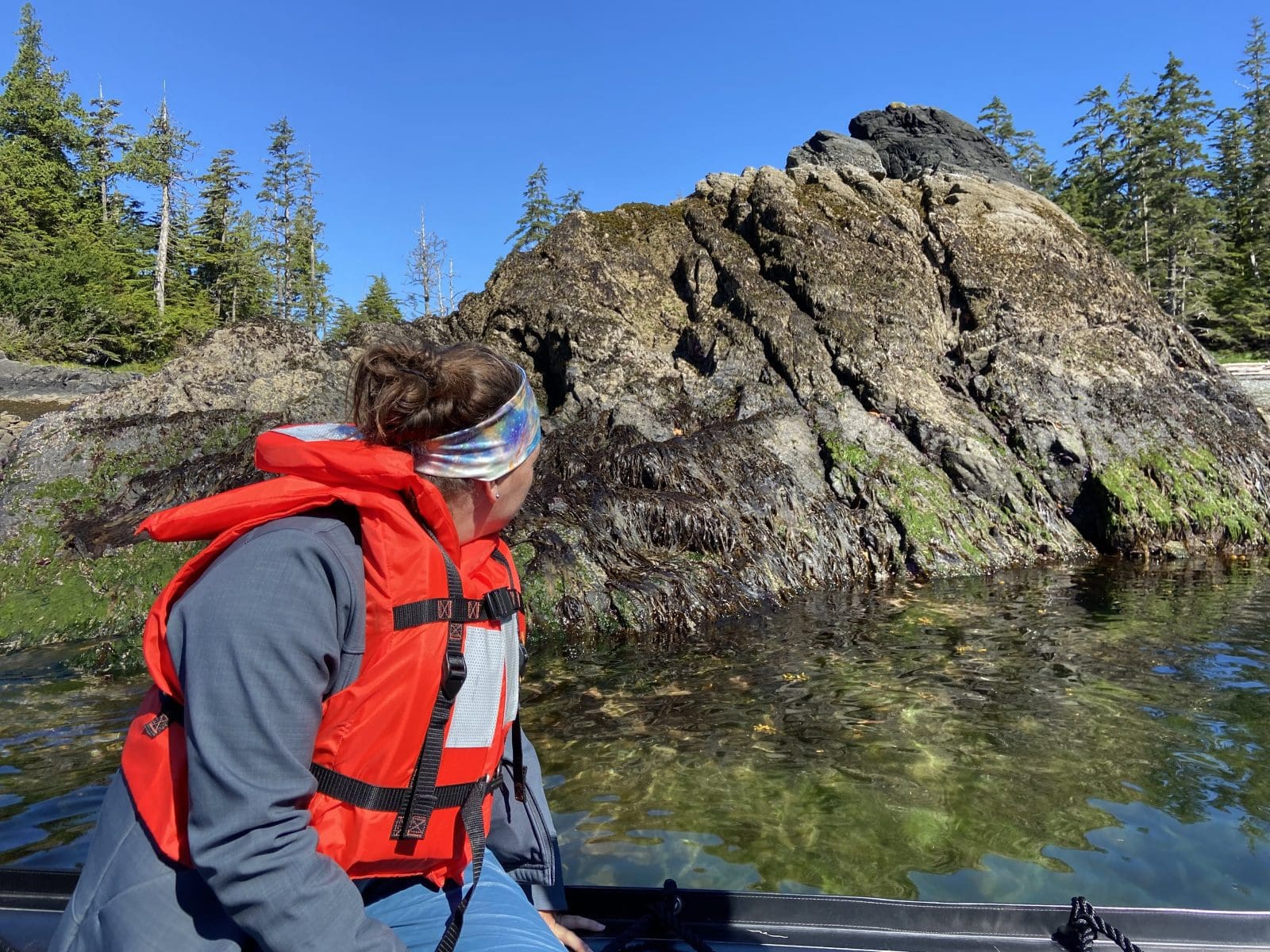Viewing the intertidal zone from a Zodiac
