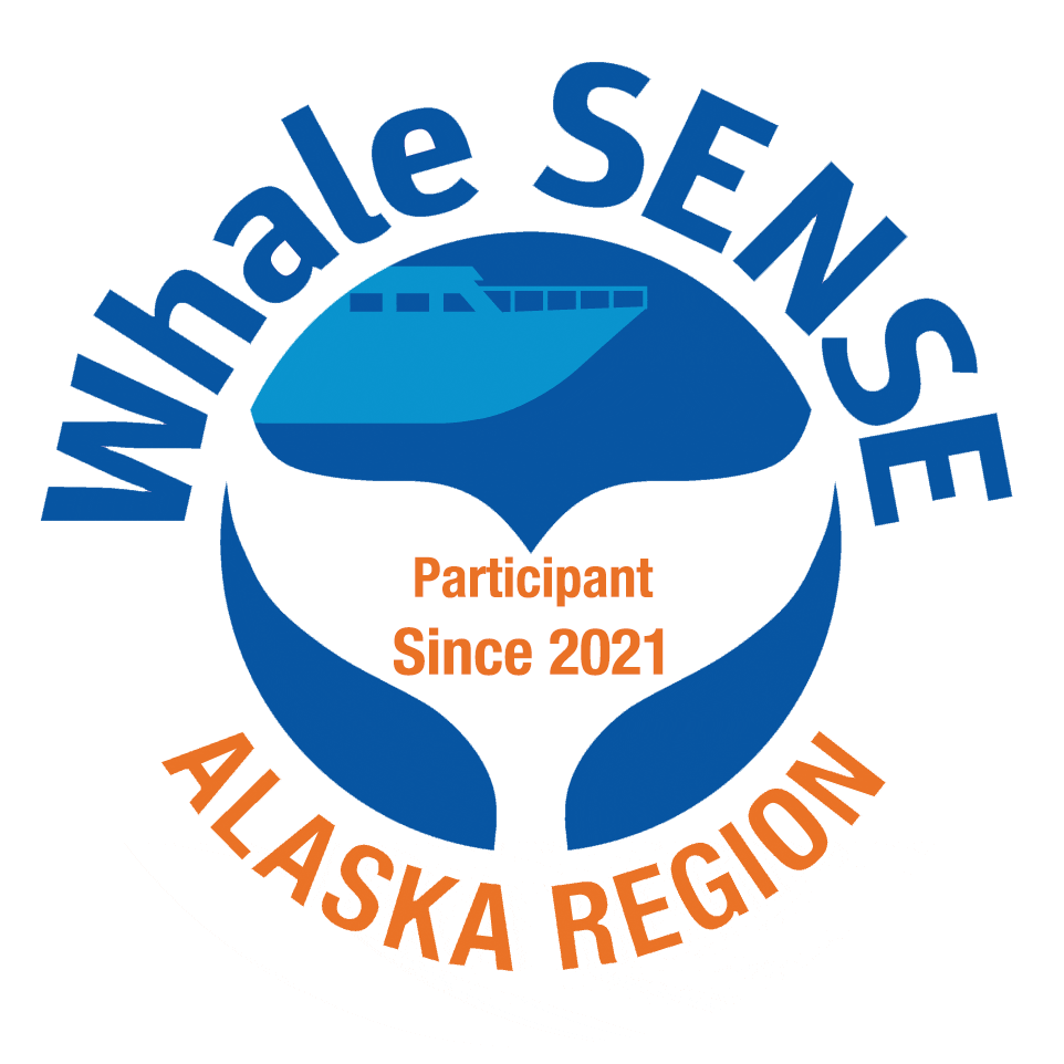 Whale Sense Logo