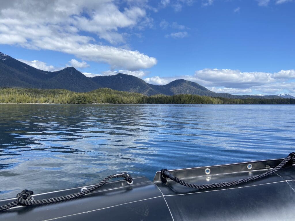 View over the side of a Zodiac of mountains and ocean