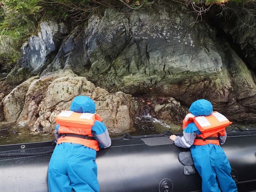 Two children in rain gear and life jackets view sea stars from a Zodiac