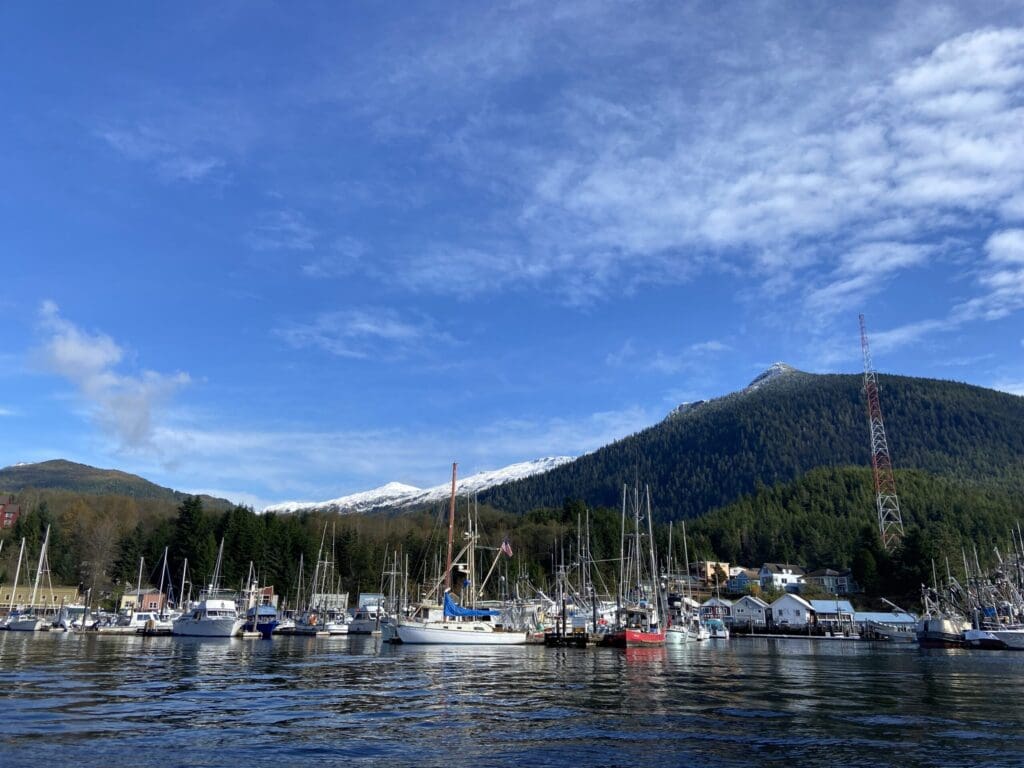 View of Thomas Basin during summer