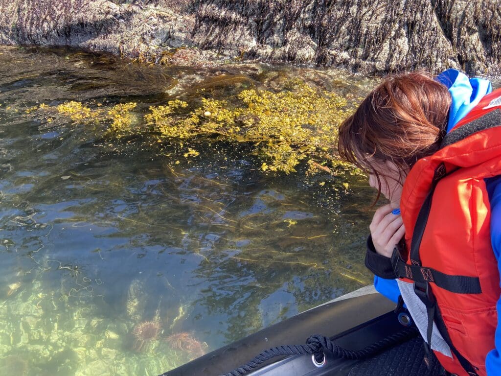 Getting a closer look Woman looking at the water from the side of a Zodiac