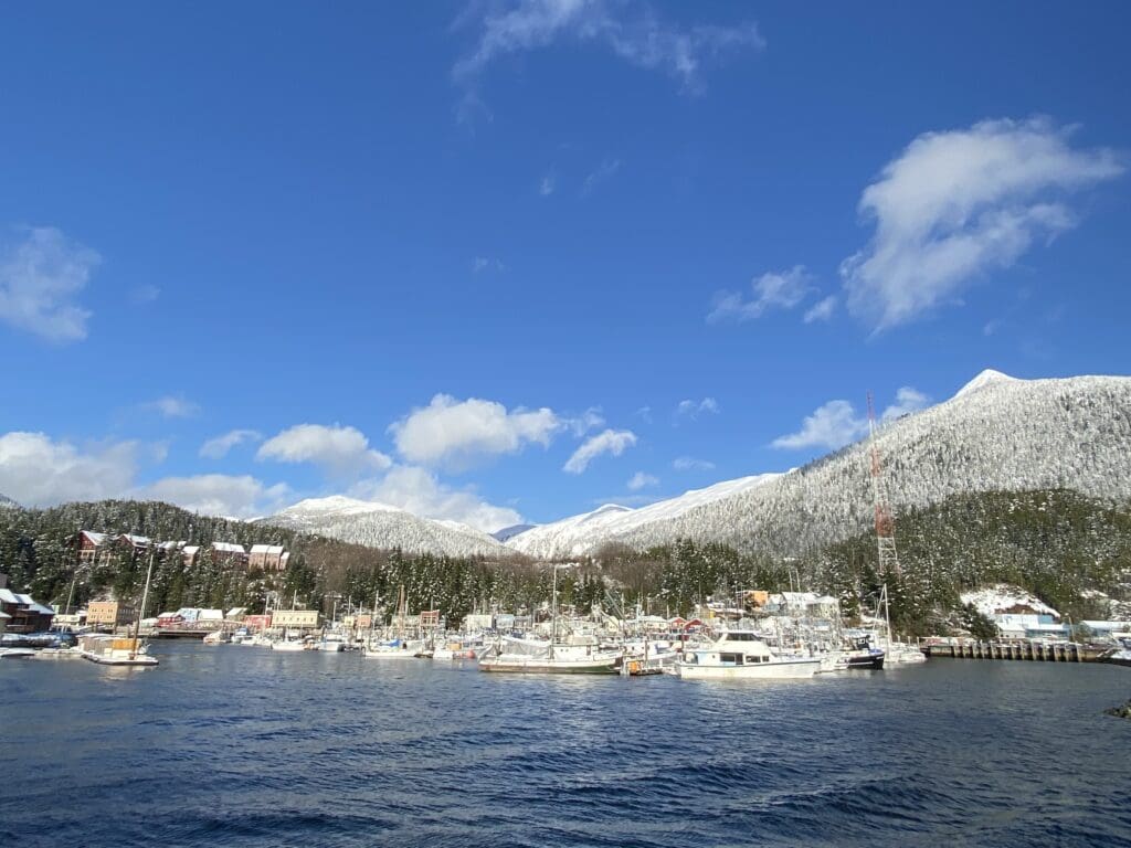Wide view of Thomas Basin and Creek Street in winter